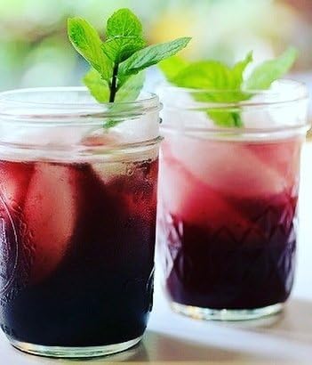 Norm's Farms American Elderberry Extract 8 Oz.