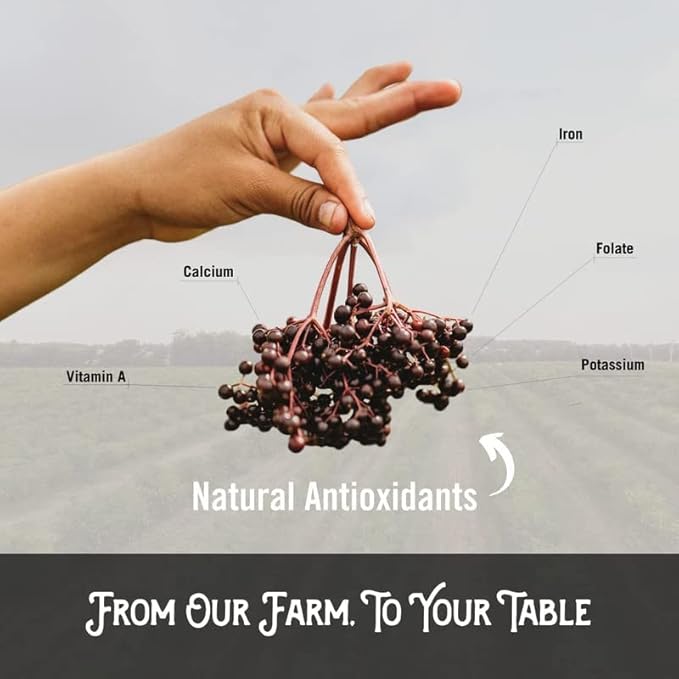 Norm's Farms American Elderberry Extract 2 8 8 Oz.