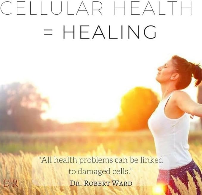 Flamasil™- for Healthy Inflammation Response* | Multi-Herbal Pain Reliever* and Joint Aid | Bio-Enhanced Turmeric, Boswellia, Resveratrol, and More | 13-in-1 Superfood Antioxidants | 30-Day Supply