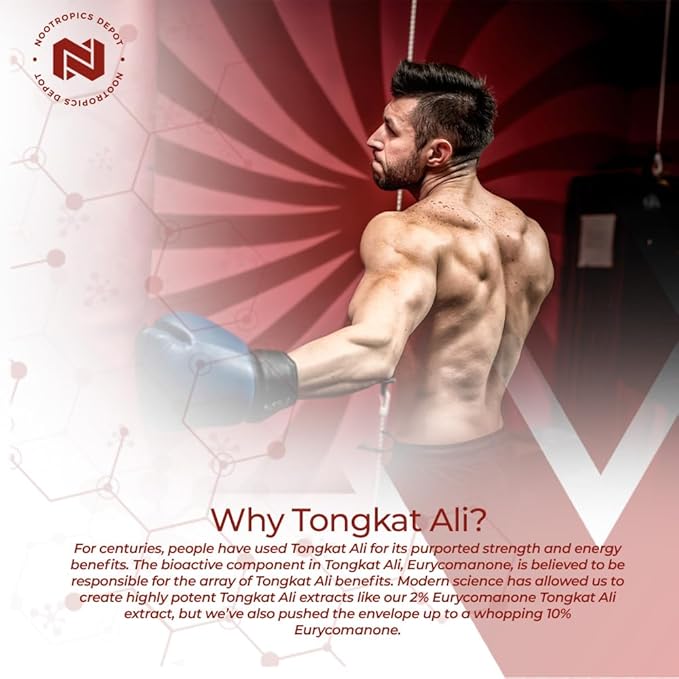 Nootropics Depot Tongkat Ali Extract Capsules 200mg | 120 Count 2% Eurycomanone