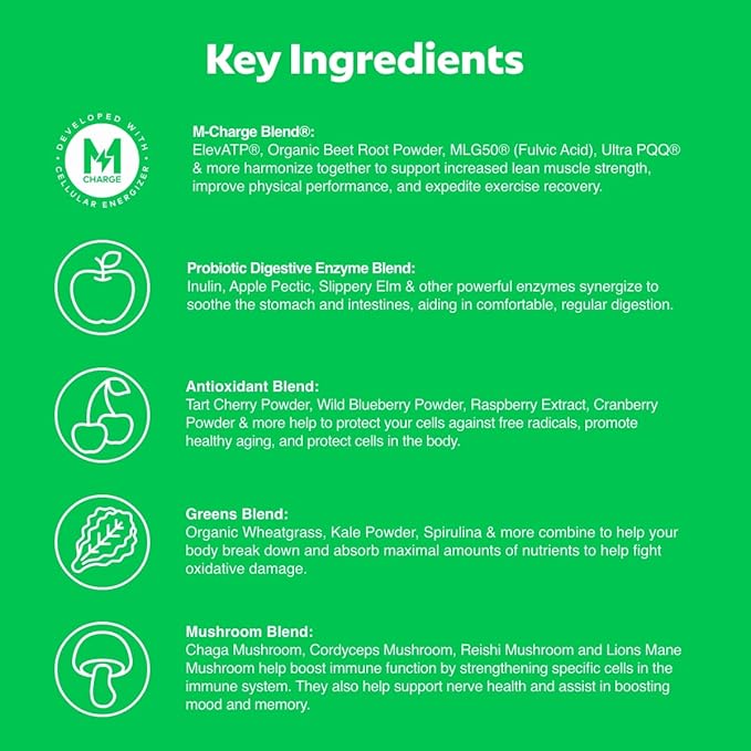L'Evate You Vitality Daily Greens Powder (28 Servings) 30 Superfoods, 9 Greens - for a Cellular Energy Boost, Powered by M-Charge Complex for All Day Energy (Original)