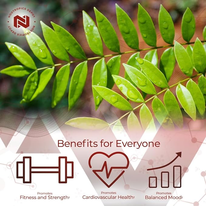 Nootropics Depot Tongkat Ali Extract Capsules 200mg | 120 Count 2% Eurycomanone