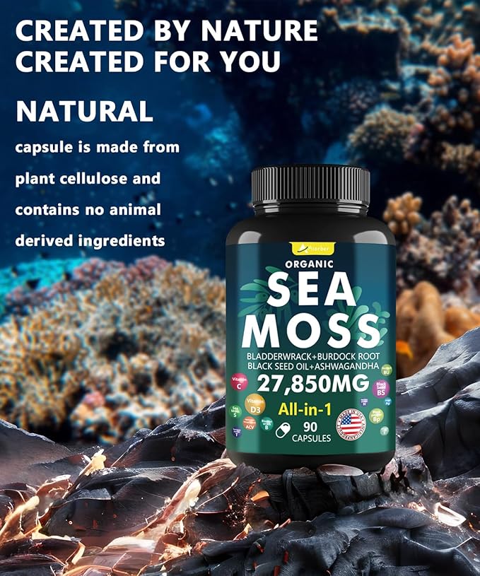 Sea Moss Capsules with Black Seed Oil, Ashwagandha, Ginger, Vitamin C & D3 - Advanced Sea Moss Pills, Superfood with Bladderwrack, Elderberry, 90 Tablets
