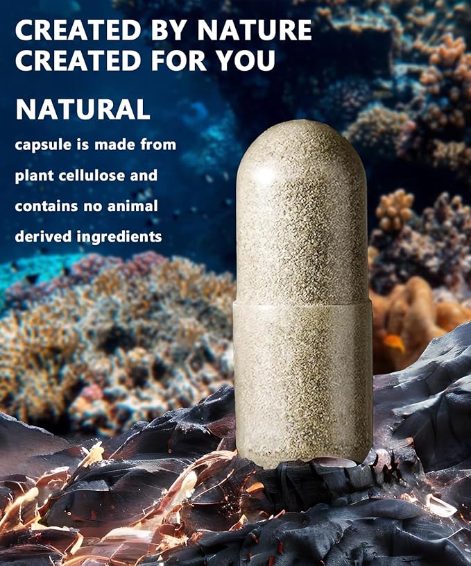 Irish Sea Moss Capsules 120 Count - Advanced Sea Moss Pills with Black Seed Oil, Ashwagandha, Ginger, Bladderwrack, Elderberry, Vitamin C & D3 - Superfood, Wild Seamoss Tablets,Seamoss Pills