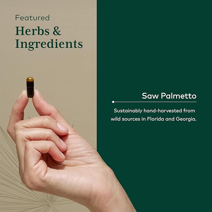 Gaia Herbs Pro Saw Palmetto Berry - Testosterone Booster for Men - with Saw Palmetto & Sunflower Seed Lecithin - 60 Vegan Liquid Phyto-Capsules (60 Servings)