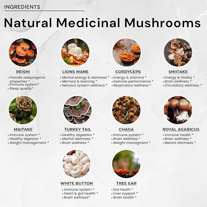 ACEWORKZ Mushroom Nootropic Brain Supplement 10 Mushroom (90 Capsules)