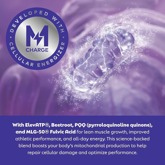 L'Evate You Vitality Daily Greens Powder (28 Servings) 30 Superfoods, 9 Greens - for a Cellular Energy Boost, Powered by M-Charge Complex for All Day Energy (Chocolate)