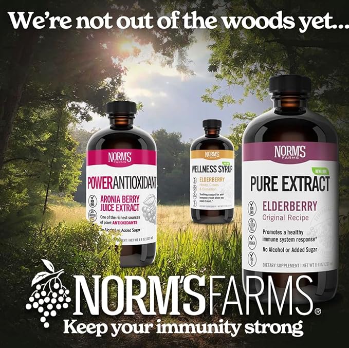 Norm's Farms American Elderberry Extract 2 8 8 Oz.