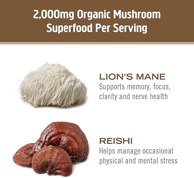 OM MUSHROOM SUPERFOOD Brain Fuel Mushroom Powder Capsules Superfood Supplement, 90 Count, 30 Days, Lion's Mane, Reishi Blend Plus Folate, Mental Clarity, Mushroom Supplement
