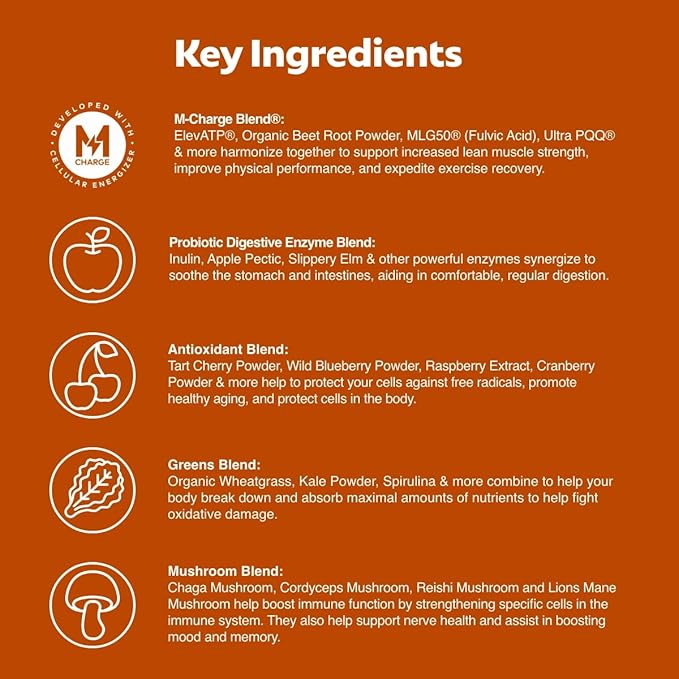 L'Evate You Vitality Daily Greens Powder (28 Servings) 30 Superfoods, 9 Greens - for a Cellular Energy Boost, Powered by M-Charge Complex for All Day Energy (Chocolate)