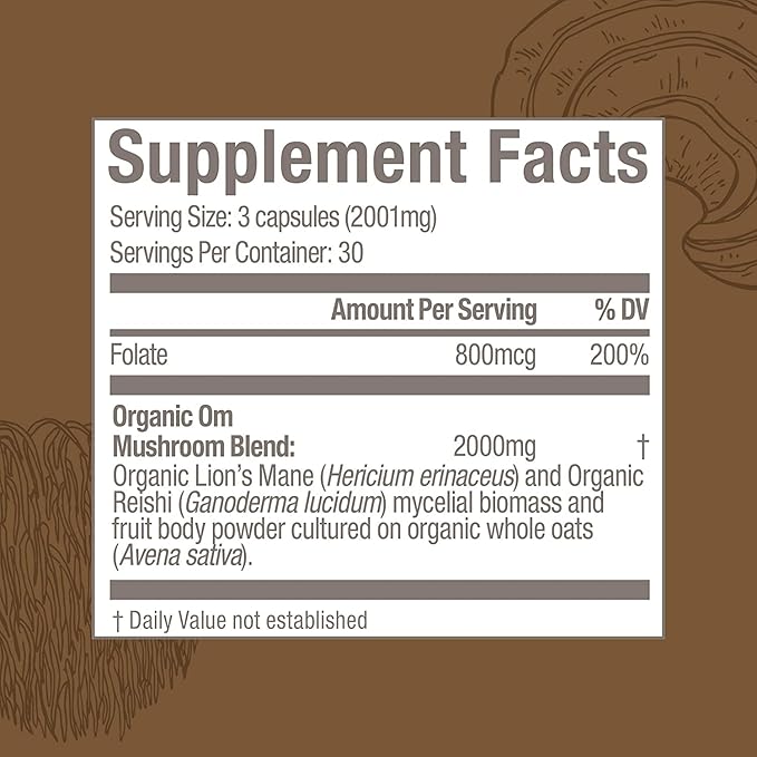 OM MUSHROOM SUPERFOOD Brain Fuel Mushroom Powder Capsules Superfood Supplement, 90 Count, 30 Days, Lion's Mane, Reishi Blend Plus Folate, Mental Clarity, Mushroom Supplement