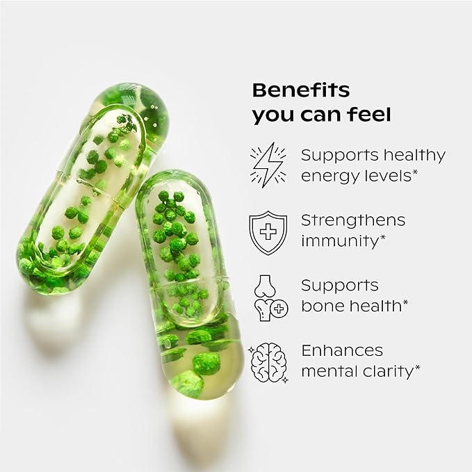 wholier Plant Based Multivitamin Vegan Omega-3 B12, Zinc, K2, Iron, 60 Count (30-Day Supply)