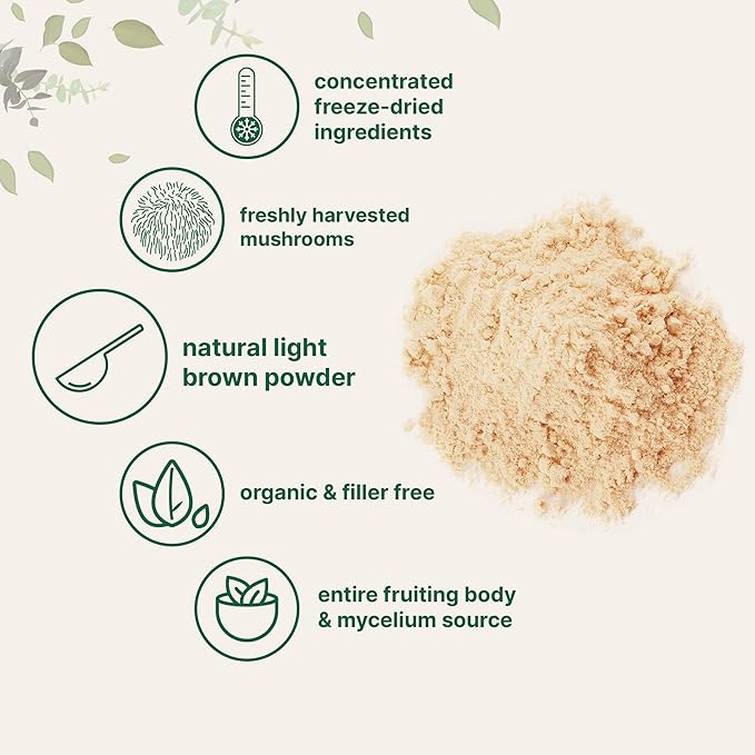 Micro Ingredients Organic Lions Mane Mushroom Supplement Powder, 16 Ounce | Natural Superfood for Brain, Energy, & Immune Health | Non-GMO Vegan