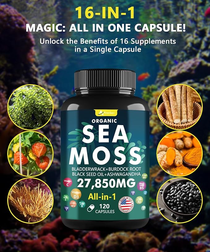 Irish Sea Moss Capsules 120 Count - Advanced Sea Moss Pills with Black Seed Oil, Ashwagandha, Ginger, Bladderwrack, Elderberry, Vitamin C & D3 - Superfood, Wild Seamoss Tablets,Seamoss Pills