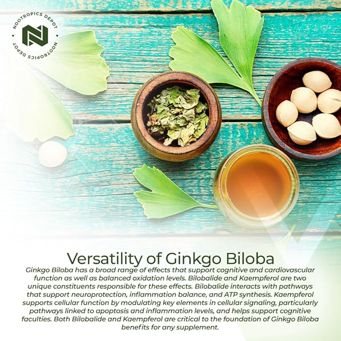 Nootropics Depot Ginkgo Biloba Extract Tablets 120mg | 90 Count 10% Kaempferol 2% Bilobalide