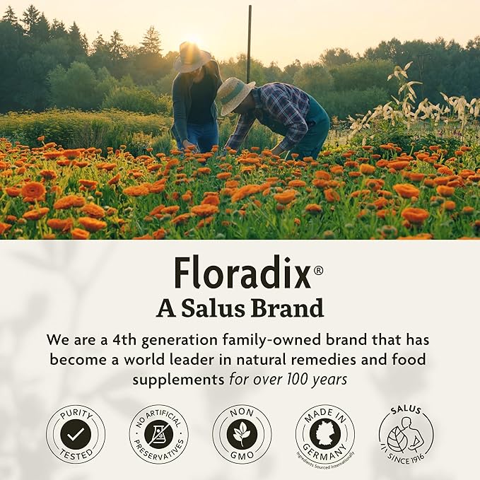 Floradix by Salus Iron & Herbs - Liquid Herbal Supplement for Energy Support - Iron Supplement with Vitamin C & B Complex Vitamins - for Men & Women - 23 oz