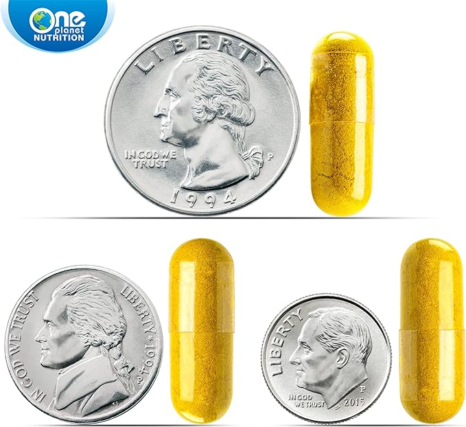 Nano Curcumin 500mg — Turmeric Curcumin 120 Veggie
