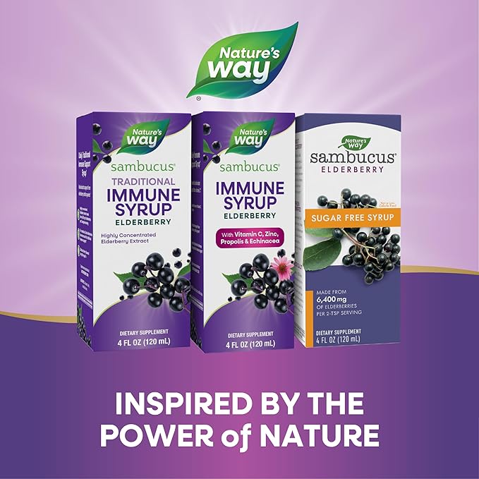 Nature's Way Sambucus Elderberry Immune Syrup, 4 Fl