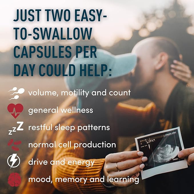 Fertility Supplements for Men Prenatal Vitamins 2-Pack, 240 240 Fertility
