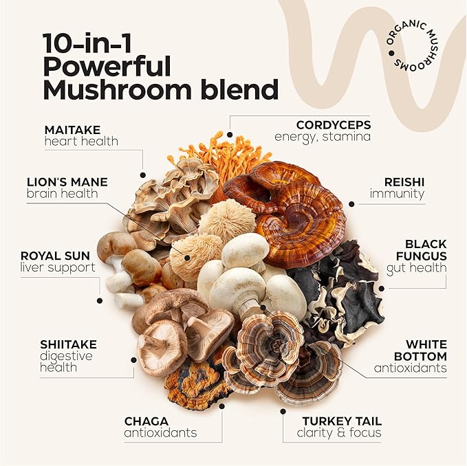 Mushroom Gummies 5000 Mg 9 Adaptogenic 120 pcs 2)
