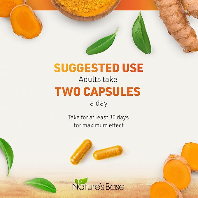 Turmeric Curcumin Supplement with Ginger & (240 Count) 95% Curcuminoids
