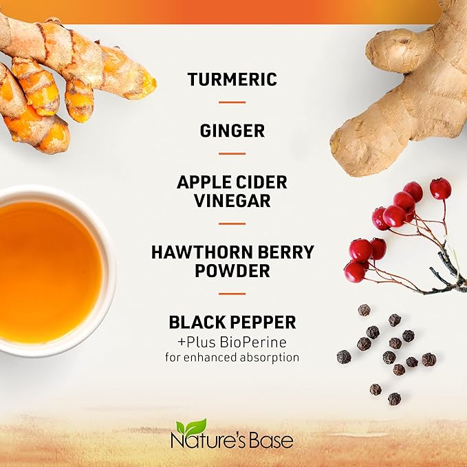 Turmeric Curcumin Supplement with Ginger & (240 Count) 95% Curcuminoids