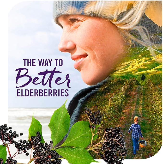 Nature's Way Sambucus Elderberry Immune Syrup, 4 Fl