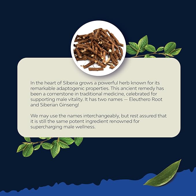 Potent Black Maca Root Capsules for Men