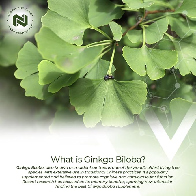 Nootropics Depot Ginkgo Biloba Extract Tablets 120mg | 365 Count 10% Kaempferol 2% Bilobalide