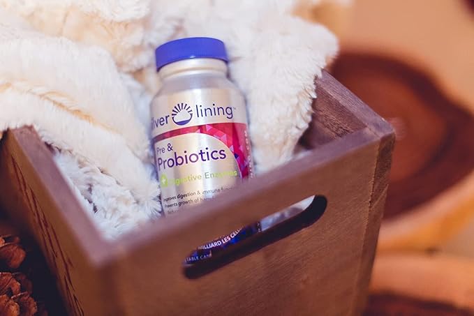 Silver Lining Pre & Probiotics + 50 Billion 120 Count 1)