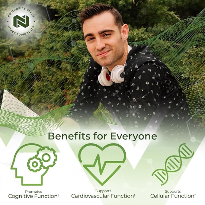 Nootropics Depot Ginkgo Biloba Extract Tablets 120mg | 365 Count 10% Kaempferol 2% Bilobalide