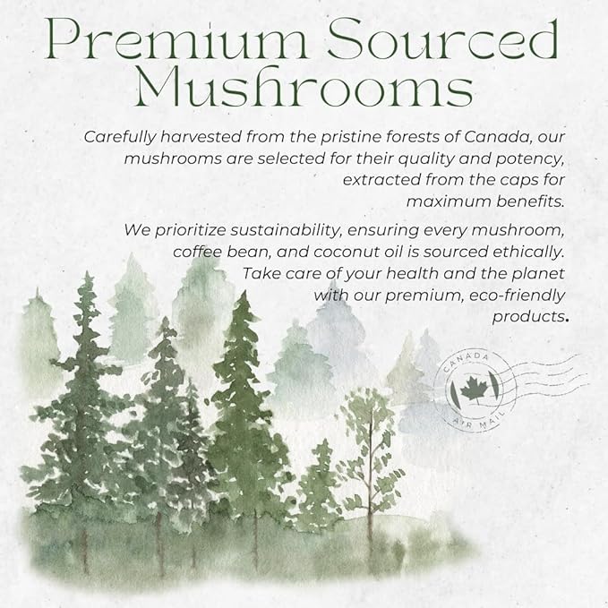 Mushroom Coffee with MCT Oil Blend of 7 Adaptogenic Mushrooms Enhanced Focus, Energy – Instant Creamy Coffee Mix Premium Quality, Crafted in the USA Kinoko Mushroom Coffee