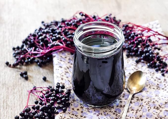 Food to Live Organic Black Elderberry 6 Ounces