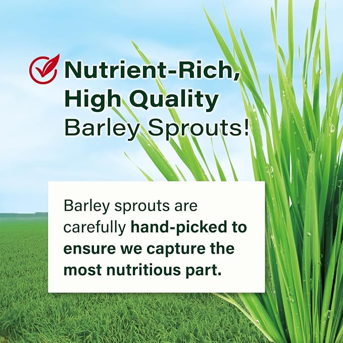 Yamamoto 山本漢方製薬株式会社 Kanpoh Barley Grass Powder, 100% Green Superfood, Japan's Green Juice for Health & Vitality, Rich in Vitamins & Minerals, Non-GMO, Vegan, 44 Sachet