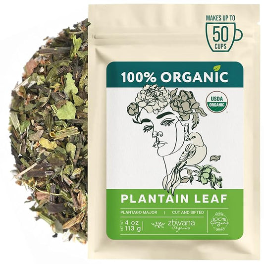 Plantain Leaf Organic (4 oz.) – Plantain Tea Loose Leaf – 100% Natural Herbal Tea for Digestion, Respiratory Health & Detox