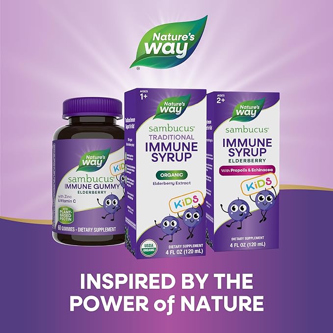 Nature's Way Sambucus Elderberry Traditional Immune 1+, Traditional 4 Fl