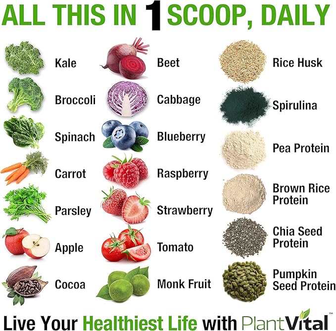 PlantVital Vegan Protein Powder Plant Based, Organic Protein Powder Chocolate, 24g/0g sugar, 12 Superfoods, Veggies, Probiotics, Raw Cocoa, Kale, Beets, Spirulina, Pea, Gluten-Free, Keto-Friendly,32oz