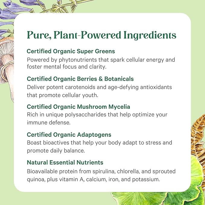 PURE SYNERGY Organic Superfood Powder | Organic Green Superfood Powder | Whole Food Supplement with Organic Greens, Spirulina and Mushrooms | for Energy, Healthy Aging, and Immune Health (12.5 oz)