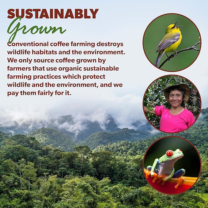 Java Planet Organic, Papua New Guinea Single Origin Dark Roast, Smooth Full Flavored Organic Coffee Beans, Low Acid, Whole Bean Coffee Two 1LB Bags